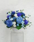 紫藍色系盆花